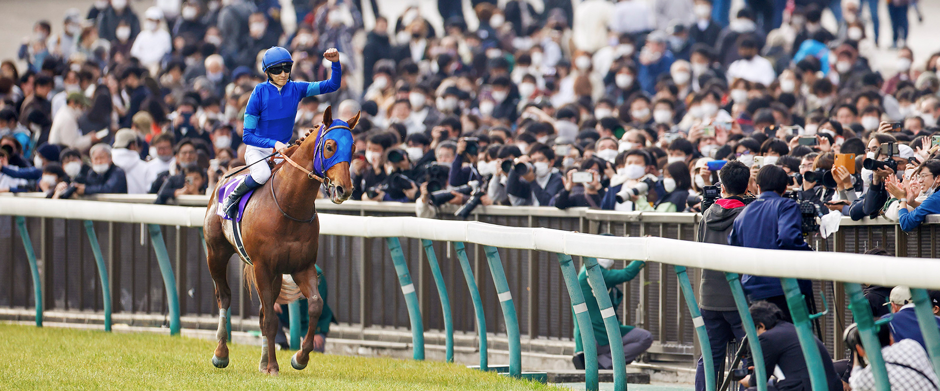 レモンポップ | Japan